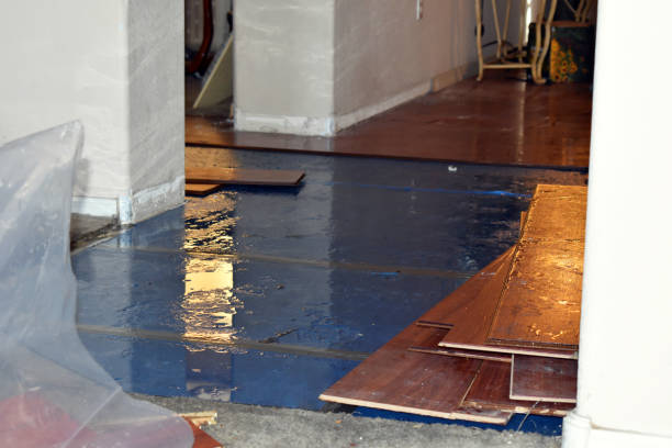 Professional Water Damage Restoration technician working in Lincoln, ID